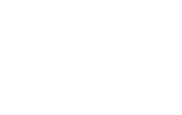 APPLE/苹果